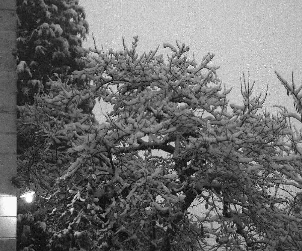 Bed & Breakfast Au Plech Mont-d'Astarac