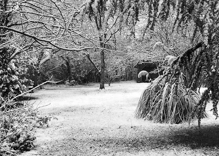 Bed & Breakfast Au Plech