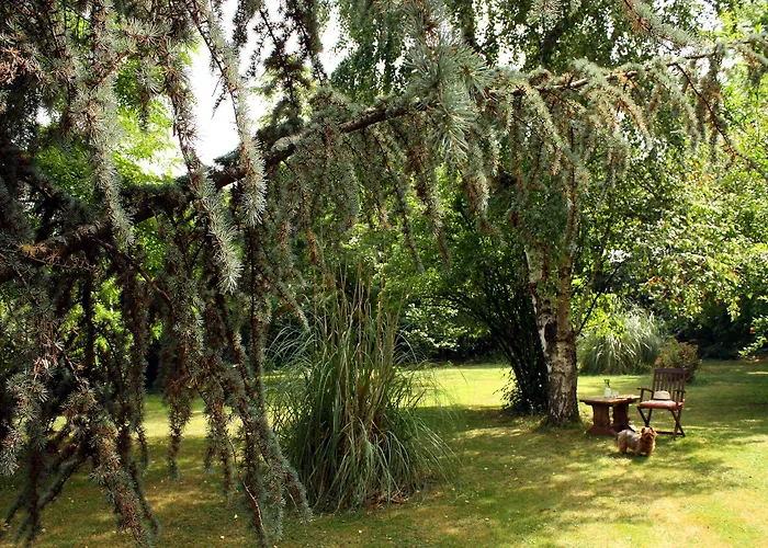 Bed & Breakfast Au Plech 3*