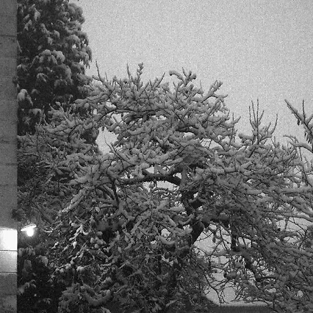 Bed & Breakfast Au Plech Mont-d'Astarac